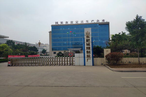 山東肥城精制鹽廠(chǎng)有限公司 能耗在線(xiàn)監(jiān)測(cè)案例(圖1)